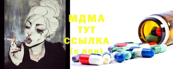 бошки Белокуриха
