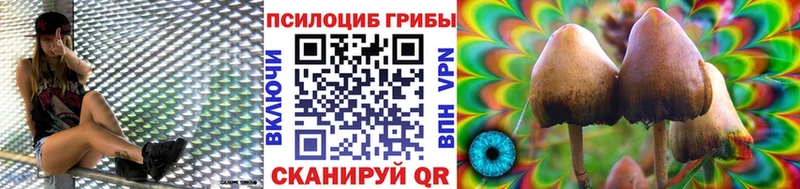 Галлюциногенные грибы GOLDEN TEACHER наркошоп Кемь